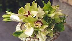 Green orchid bridal bouquet.